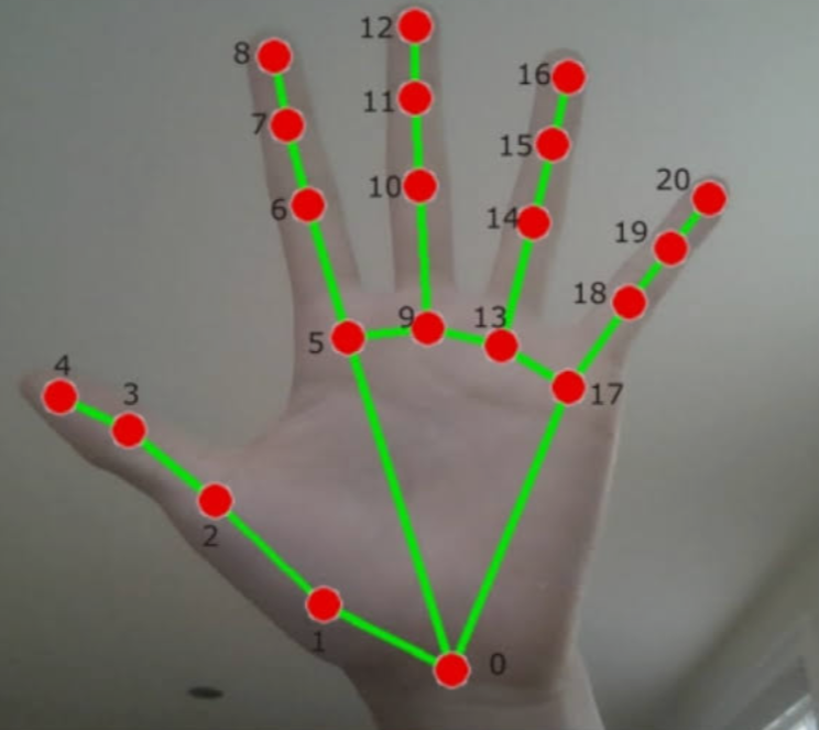 Vision research